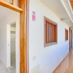 Atico 307-Jacuzzi Privado & Pool 公寓